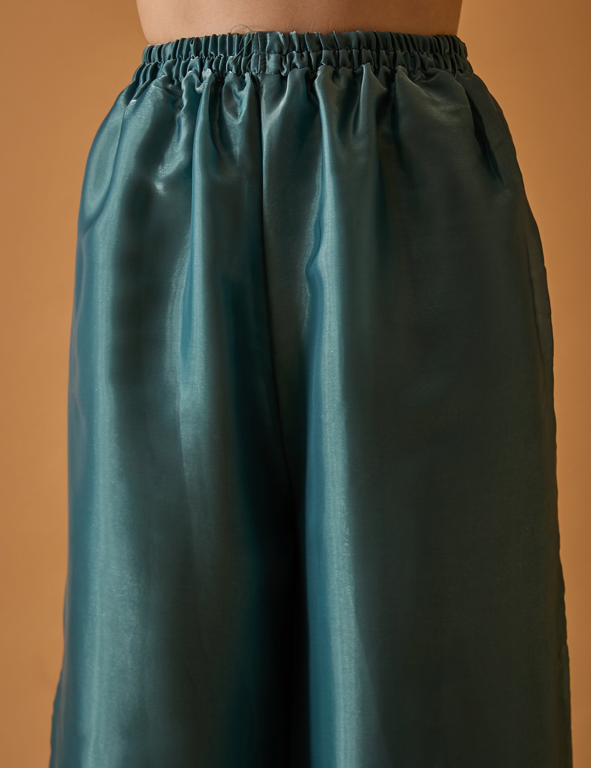 dhartii  Turquoise Elegance Embroidered Organza Sharara Set