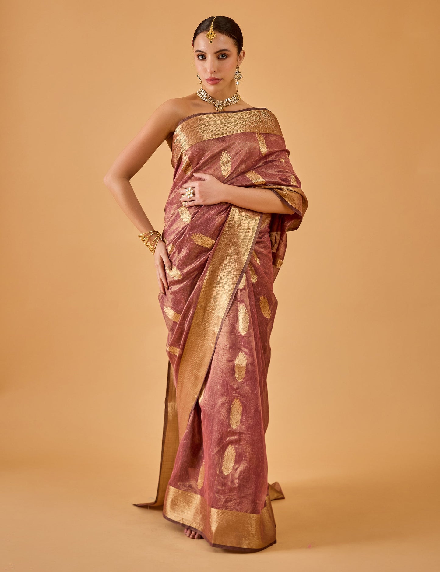 dhartii  Aubergine Jacquard Chanderi Saree